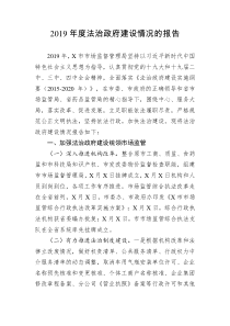 关于2019年度法治政府建设情况的报告