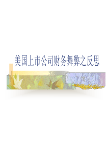 十三美国上市公司财务舞弊之反思