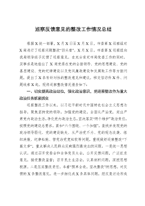 巡察反馈意见的整改工作情况总结范文