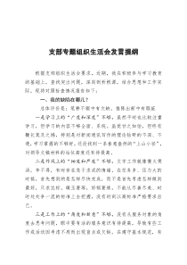 支部专题组织生活会发言提纲