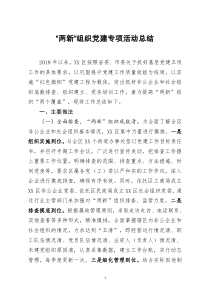 [doc文档可编辑]两新组织党建专项活动总结