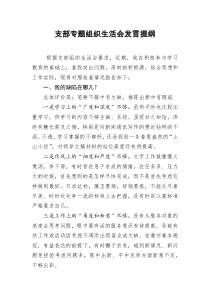 [doc文档可编辑]支部专题组织生活会发言提纲