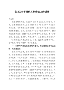 [doc文档可编辑]在2020年组织工作会议上的讲话