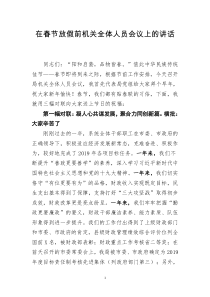 [doc文档可编辑]在春节放假前机关全体人员会议上的讲话