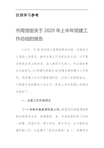 市局党组关于2020年上半年党建工作总结的报告