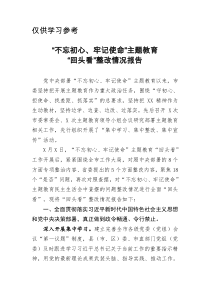 不忘初心牢记使命主题教育回头看整改情况报告