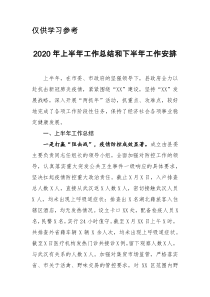 县政府2020年上半年工作总结和下半年工作安排