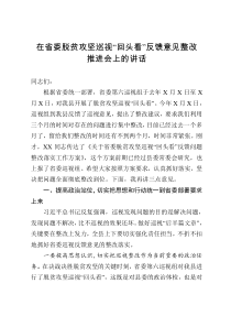 在省委脱贫攻坚巡视回头看反馈意见整改推进会上的讲话