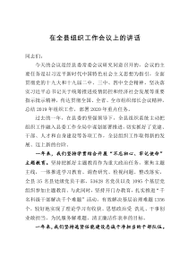 在全县组织工作会议上的讲话