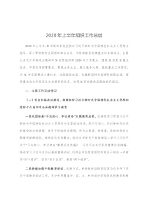 2020年上半年组织工作总结