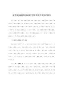 关于落实县委巡察组反馈意见整改情况的报告