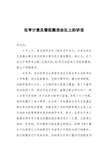 在审计意见督促整改会议上的讲话