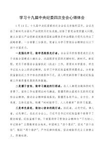 学习十九届中央纪委四次全会心得体会中纪委四次全会心得体会