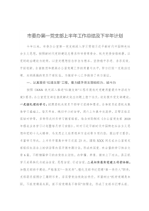 市委办第一党支部上半年工作总结及下半年计划