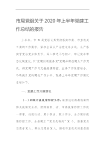 市局党组关于2020年上半年党建工作总结的报告