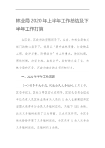 林业局2020年上半年工作总结及下半年工作打算