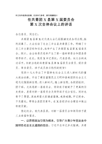 在共青团X县第X届委员会第X次全体会议上的讲话