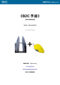 《B2C手册》XXXX传统企业版