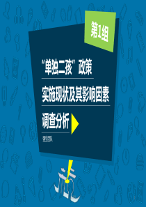 二胎政策实施情况的调查报告--ppt课件