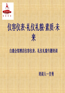 仪容仪表礼仪礼貌培训PPT30页全文案例分析电子版