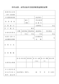 工商局业务表格中外合资合作企业中方投资者资金落实证明全文案例分析电子版