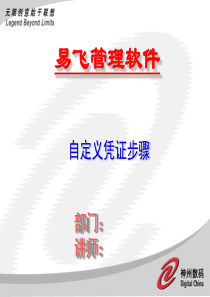 自定凭证报表培训幻灯片50全文案例分析电子版