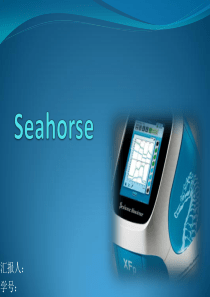 Seahorse海马代谢仪使用说明