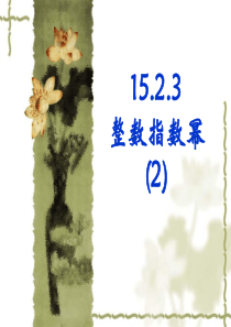 15.2.3--整数指数幂(2)