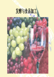 发酵与食品加工PPT教学课件