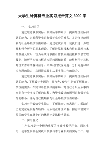 大学生计算机专业实习报告范文3000字