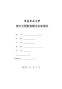 偏微分实验报告1