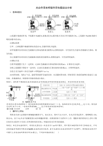 光合作用和呼吸作用专题综合分析