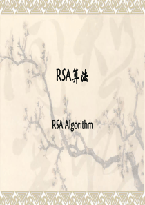 RSA算法详解