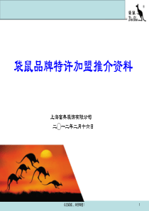 上海富典服饰有限公司-袋鼠男装单店加盟推介手册(ppt3