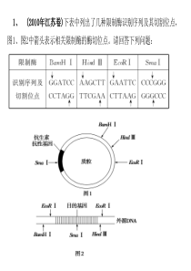 基因工程的复习课件