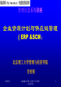 ERP&SCM讲座