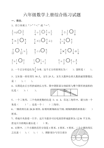 六年级数学上册综合练习试题