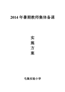 毛集实验小学暑期教师集体备课实施方案2014