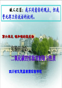 人教版九年级化学上册第六单元实验活动2：二氧化碳的实验室制取与性质