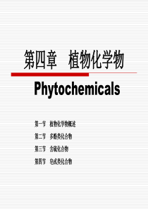 第四章--植物化学物：营养学II