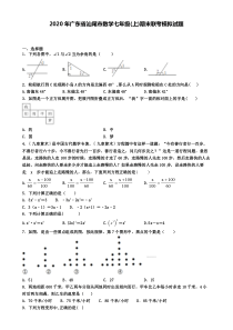 2020年广东省汕尾市数学七年级(上)期末联考模拟试题