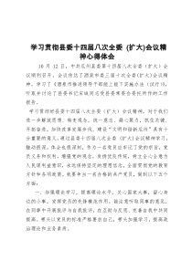 学习县十四届八次全委会精神心得体会