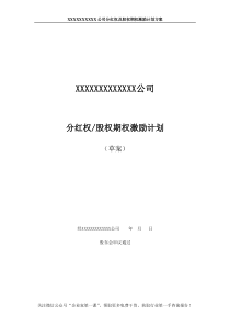 非上市公司分红权及股权期权激励计划方案（DOC12页）