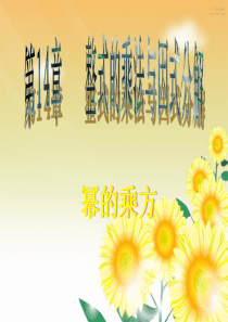 人教版八年级上册14.1.2幂的乘方课件(共16张PPT)