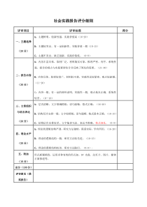 社会实践报告评分细则