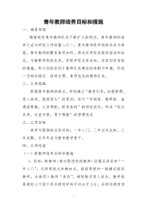 青年教师培养目标和措施