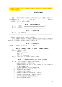 【实例】一人有限公司章程01不设董事会不设监事会