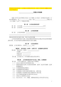 【实例】一人有限公司章程04设董事会设监事会