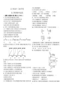 高中生物必修二考试试题(含答案)