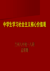 中学生学习社会主义核心价值观